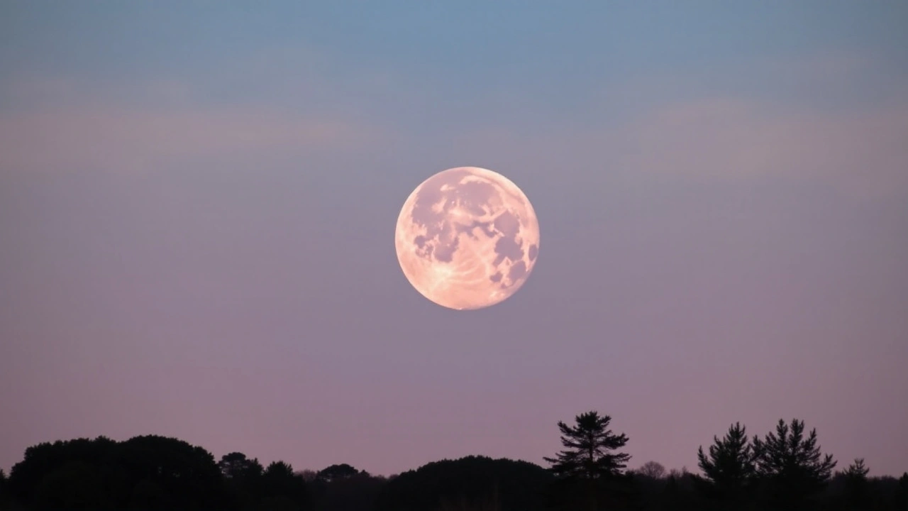 Superluna de Esturión en agosto 2024: Horarios, cuándo y cómo disfrutar de este espectacular evento lunar