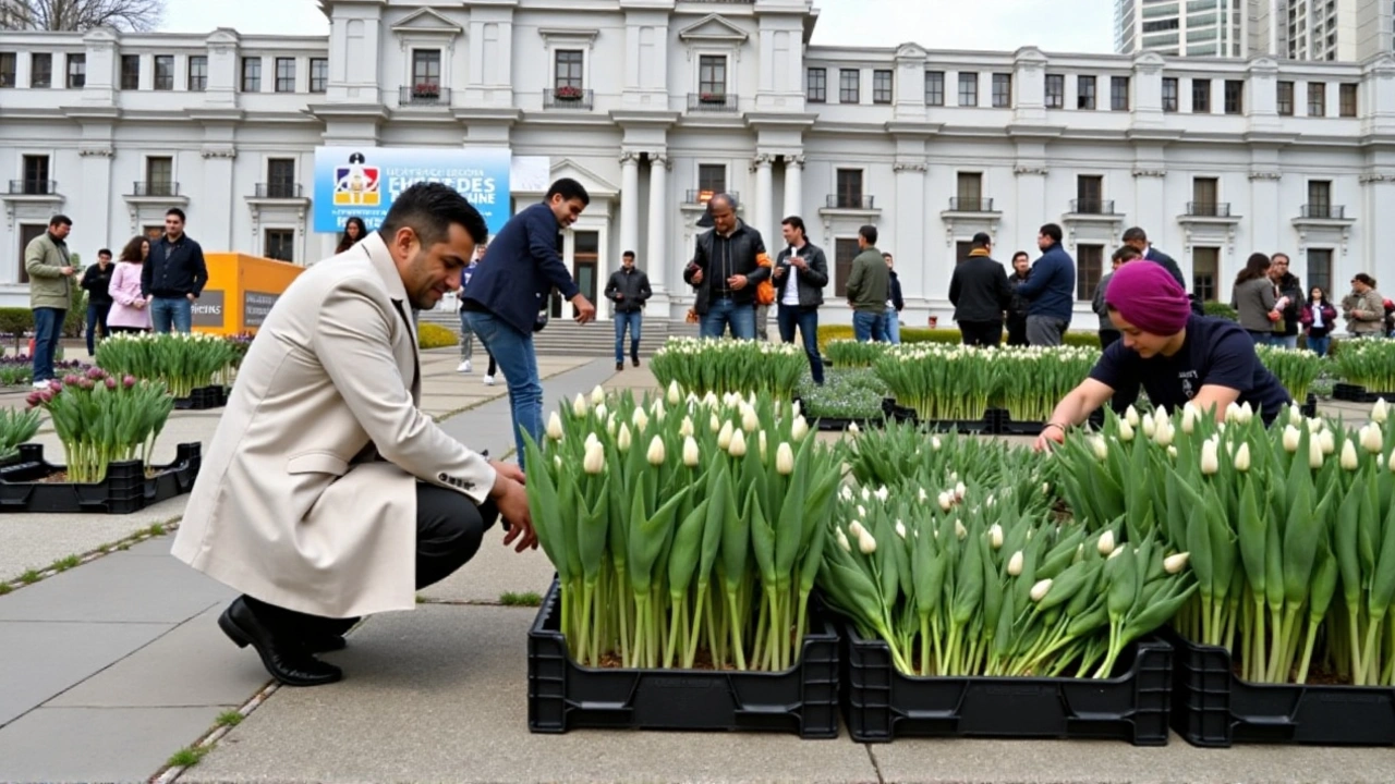 Día del Tulipán 2024: Distribución Gratuita de Tulipanes en Las Condes